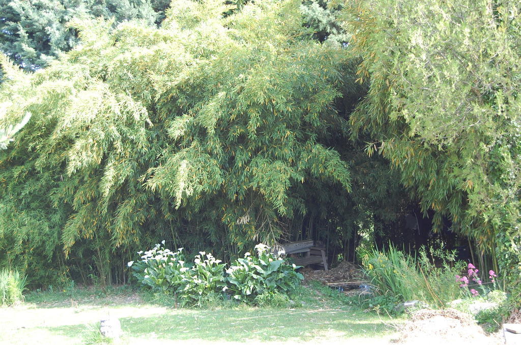 Gîte Le Gré Chantemerle-lès-Grignan Exterior foto