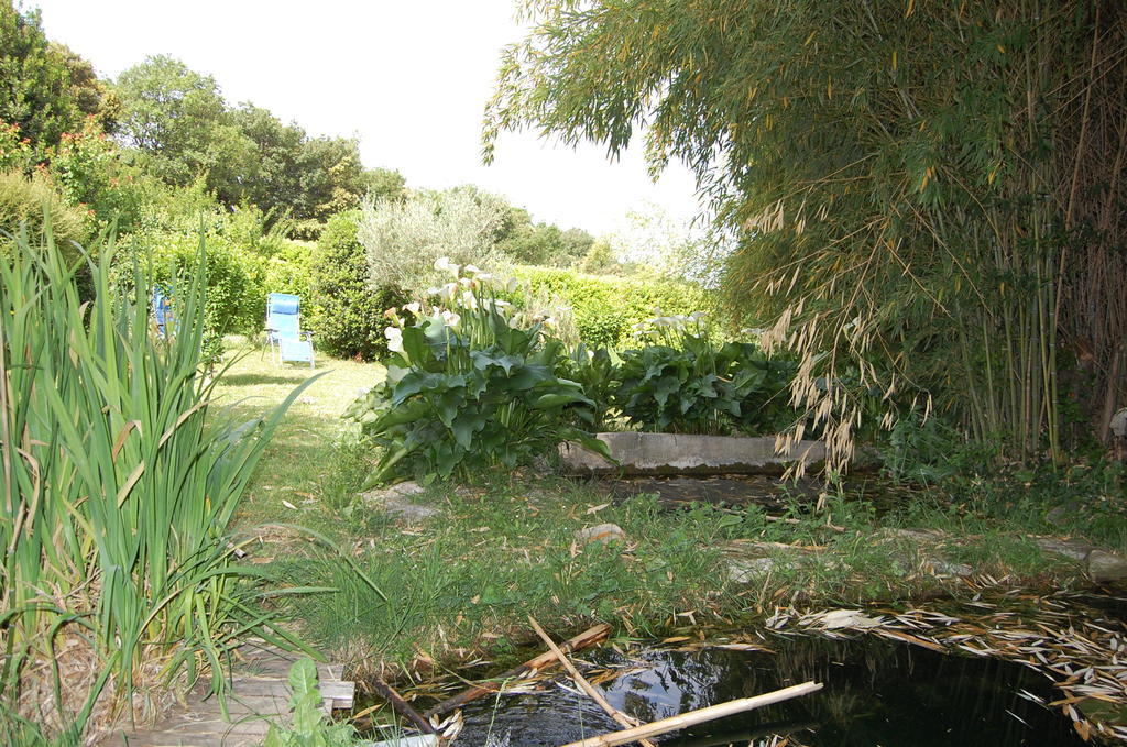 Gîte Le Gré Chantemerle-lès-Grignan Exterior foto
